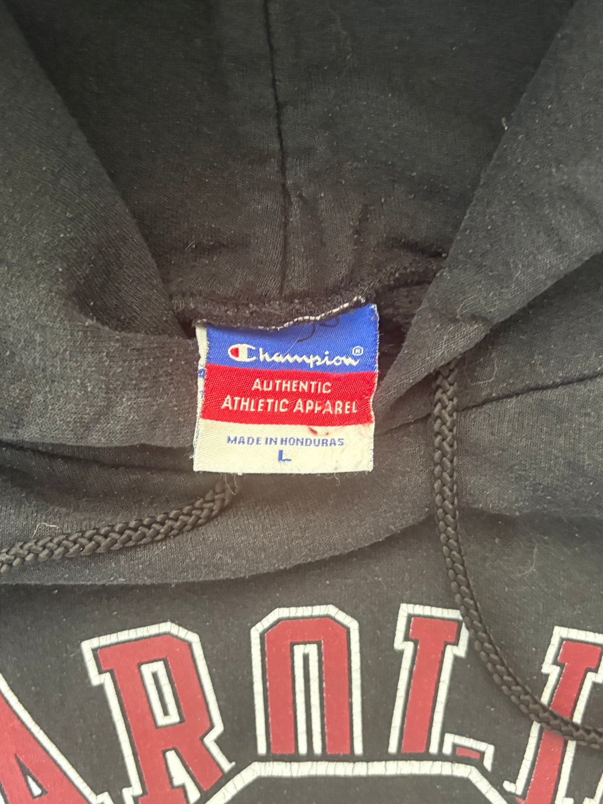 Vintage Y2K South Carolina Hoodie — , L