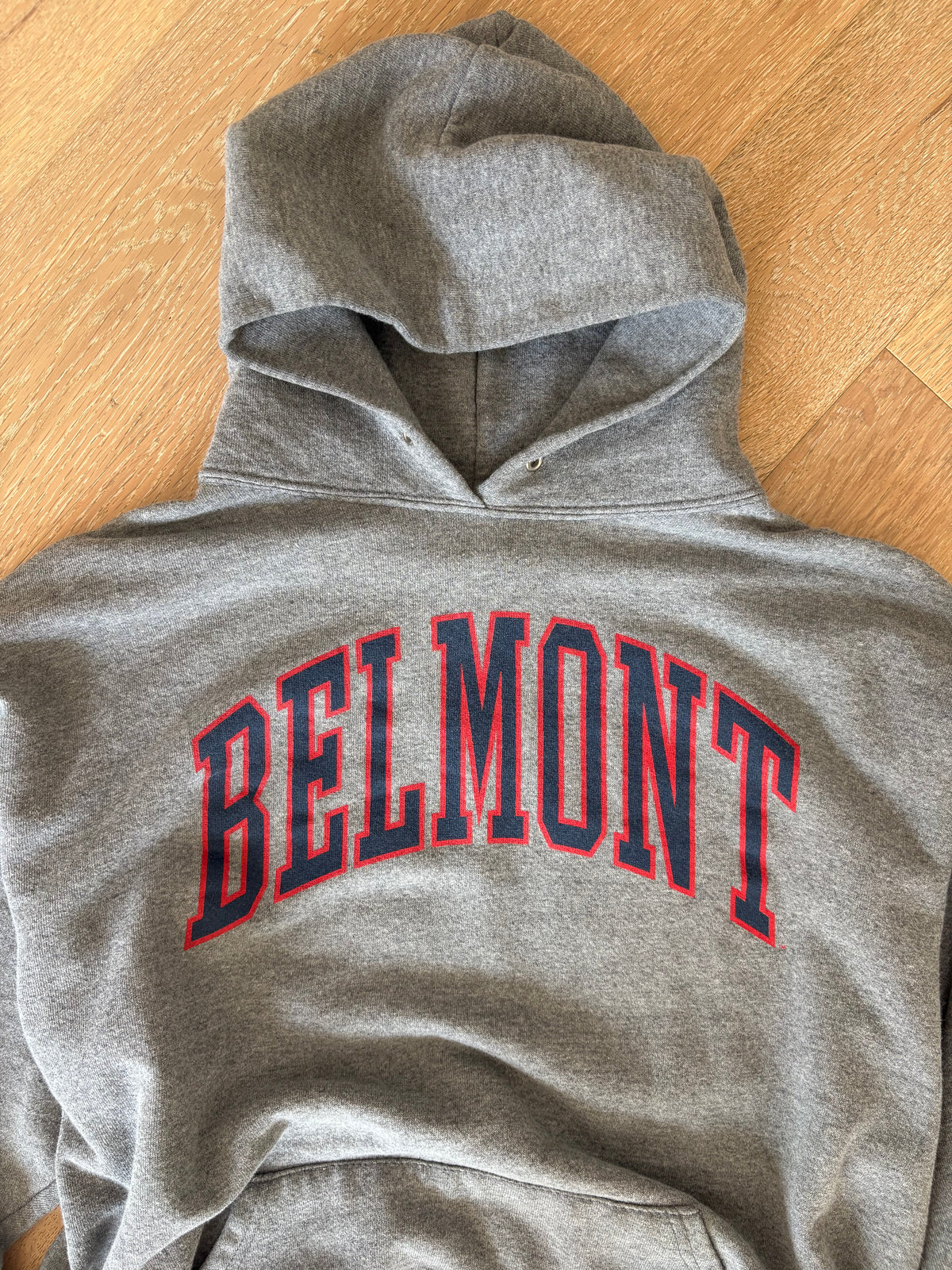 Vintage Y2K Belmont Hoodie — , L